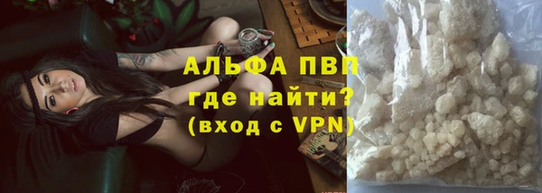 spice Алзамай