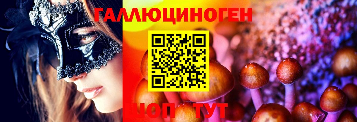 где найти   Вход с VPN  Строитель  Галлюциногенные грибы мухоморы 