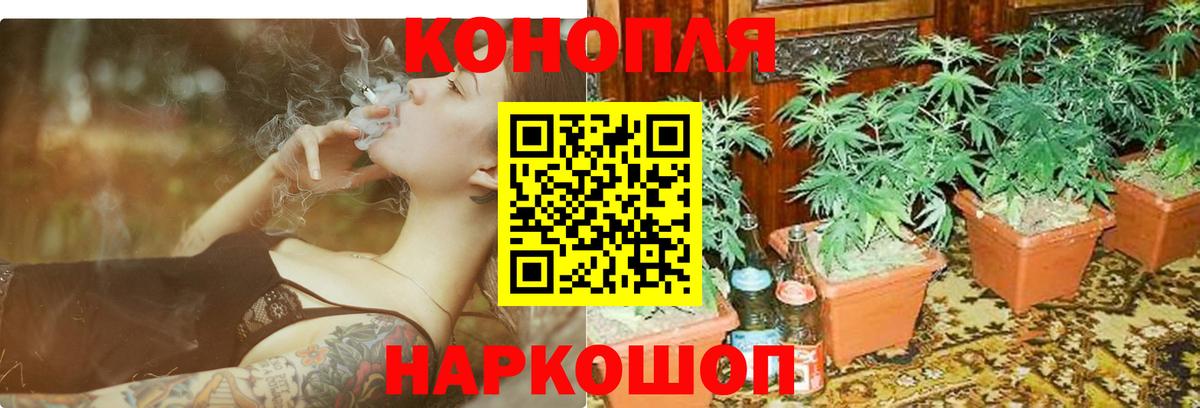 Бошки марихуана AK-47  Вход с VPN  Бошки Шишки THC 21%  Конопля SATIVA & INDICA  Строитель  Каннабис LSD WEED 